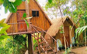 Sanctuaria Treehouses Busuanga